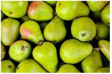 Poire de BLIDA - 5