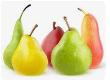 Poire de BLIDA - 3