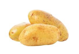 L'or rouge de l'Alg&eacute;rie : Pomme de terre de Oued Souf - 2