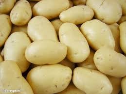 L'or rouge de l'Alg&eacute;rie : Pomme de terre de Oued Souf - 5
