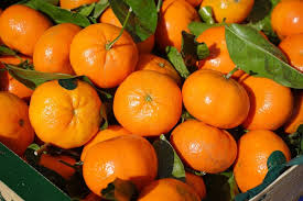 CLEMENTINE de Misserghin, un DELICE - Oran