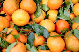 CLEMENTINE de Misserghin, un DELICE - 3