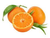 CLEMENTINE de Misserghin, un DELICE - 2