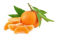 CLEMENTINE de Misserghin, un DELICE - 4