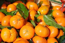 CLEMENTINE de Misserghin, un DELICE - 5
