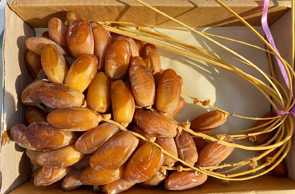 D&eacute;lices de Deglet Nour Premium - Alger