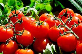 Tomates Mghaier - El M'Ghair